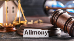 Minnesota Spousal Maintenance Alimony Lawyers